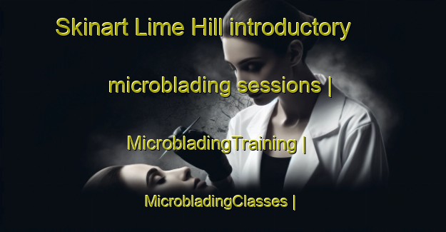 Skinart Lime Hill introductory microblading sessions | MicrobladingTraining | MicrobladingClasses | SkinartTraining-United States